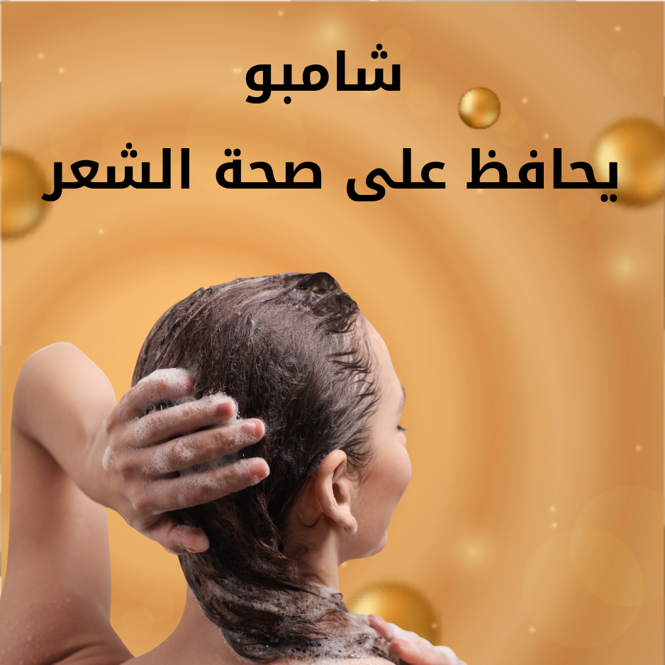 شامبو
